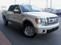 2009 Ford F-150