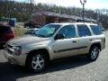 2004 Chevrolet TrailBlazer
