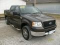 2005 Ford F-150