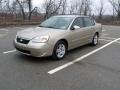 2006 Chevrolet Malibu