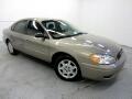 2007 Ford Taurus