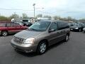 2005 Ford Freestar