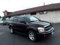 2004 Dodge Durango