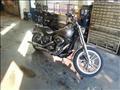 2007 Harley-Davidson FXDL