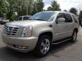 2007 Cadillac Escalade