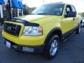 2004 Ford F-150