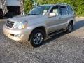 2009 Lexus GX 470