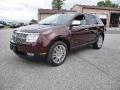 2010 Lincoln MKX