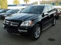 2010 Mercedes-Benz GL-Class