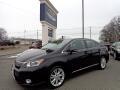 2010 Lexus HS 250h