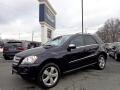 2010 Mercedes-Benz M-Class