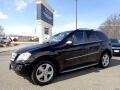 2010 Mercedes-Benz M-Class