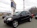 2008 Mercedes-Benz M-Class