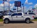 2009 Ford F-150