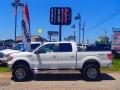2009 Ford F-150