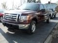 2009 Ford F-150