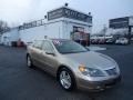 2006 Acura RL