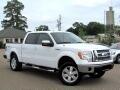 2009 Ford F-150