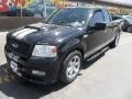 2004 Ford F-150