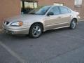 2004 Pontiac Grand Am