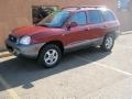 2004 Hyundai Santa Fe