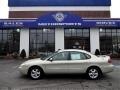 2004 Ford Taurus
