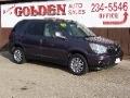 2006 Buick Rendezvous