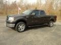 2006 Ford F-150