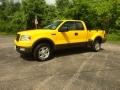 2004 Ford F-150
