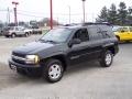 2002 Chevrolet TrailBlazer