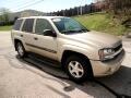 2004 Chevrolet TrailBlazer