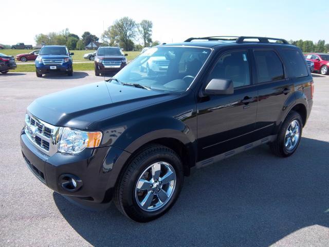 2011 Ford Escape XLT 4WD