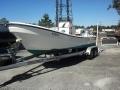 2010 Panga Ocean Waves H22
