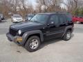 2004 Jeep Liberty