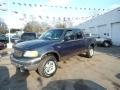 2002 Ford F-150