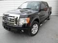2009 Ford F-150