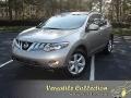 2010 Nissan Murano