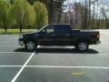 2006 Ford F-150