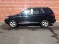 2007 Hyundai Santa Fe