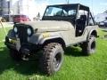 1979 Jeep CJ-5