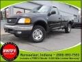 2004 Ford F-150 Heritage