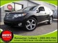 2009 Toyota Venza