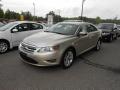 2010 Ford Taurus