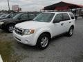 2010 Ford Escape