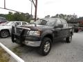 2005 Ford F-150