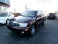 2006 Buick Rainier