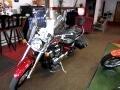 2008 Kawasaki VN900-D