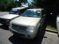 2005 Mercury Mountaineer