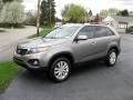2011 Kia Sorento