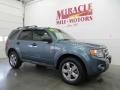 2010 Ford Escape